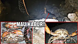 THE EASIEST WAY TO CATCH CRABS IS AT NIGHT AND THESE ARE THE RESULTS