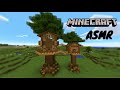 Minecraft ASMR | Building a Treehouse Base 🌳 | Ear-to-ear
