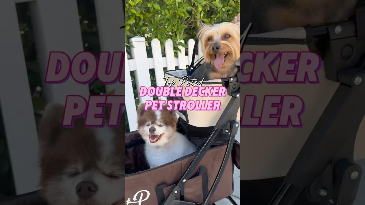 This is the BEST Double Decker Stroller for multiple pets #petstroller  #pets #dogstroller #dogs - YouTube