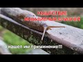 Инвазивные слизни Способ приминения или выгодное истребление Инвазивные слизни Способ приминения или выгодное истребление