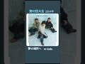 冬の高校サッカー 応援ソング&応援マネージャー 第83回大会 夢の場所へ W-inds. ☆イヤホン推奨