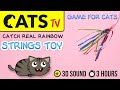 Game for cats  real rainbow feather strings toy cats tv 3 hours