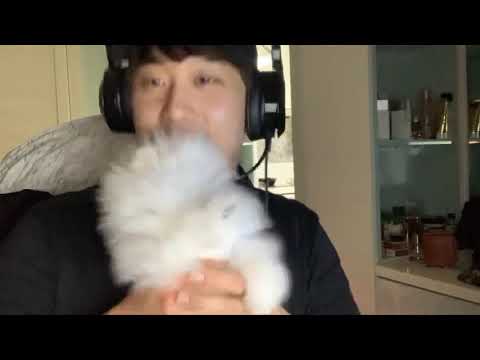 김장훈 - 혼잣말(feat.독도)