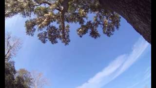 Cloud Camera 2014-12-11: Hawks Rise Elementary
