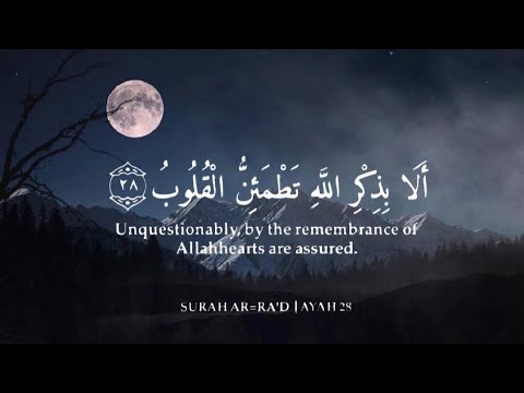 ألا بذكر الله تطمئن القلوب تلاوة هادئة تريح القلب والأعصاب راحة وسكينة لقلبك