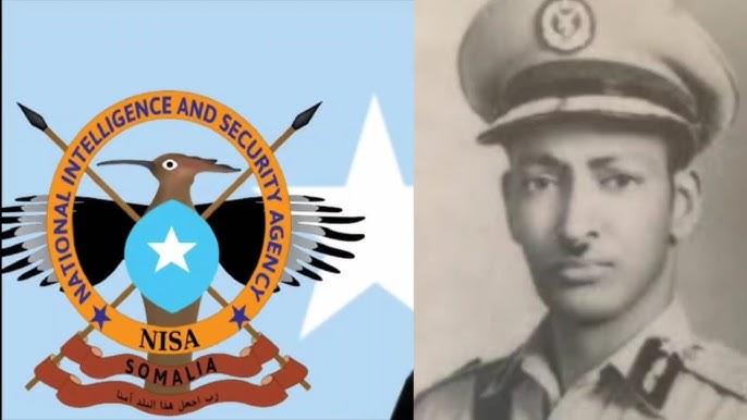 Ayolning qinidagi erkak jinsiy olatni Mushukni pirsing onlayn