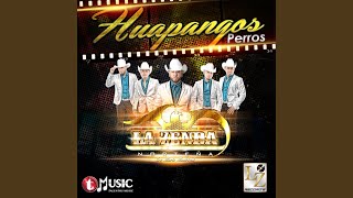 Huapangos Perros chords