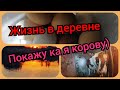 Обзор хозяйства/Жизнь в деревне/Ждем отёл коровы/Козы в запуске/Куры продолжают радовать яйцами!