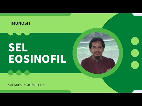 SEL EOSINOFIL