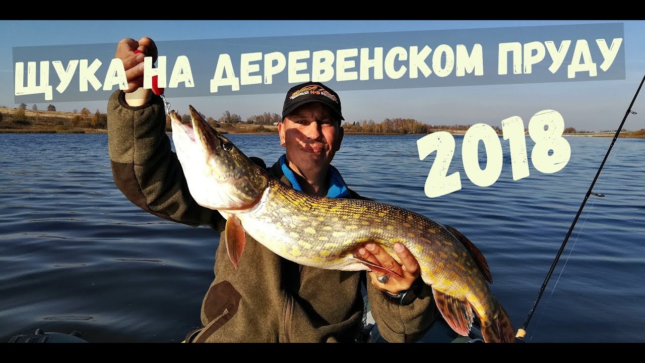 Щука на деревенском пруду. Осень 2018