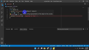 assert - dart flow control in bangla
