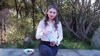 Vinegar and Baking Soda Rockets Explained