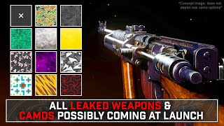 So... EVERY WEAPON and CAMO in VANGUARD May Have Leaked...
