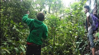 Download Lagu SEMUA BURUNG PADA NEMPET KE GETAH PULUT KITA MP3