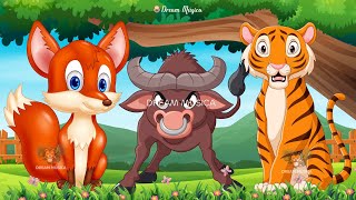 Happy animal moment: Fox, Buffalo, Tiger, Ant, Camel, Calf, Butterfly  Animals sound