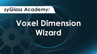 syGlass Academy: Voxel Dimension Wizard