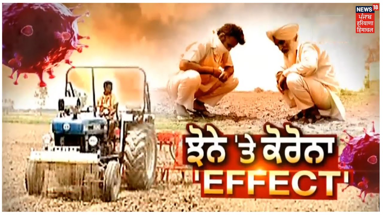 ਝੋਨੇ ਤੇ ਕੋਰੋਨਾ Effect ! News18 ਤੇ ਕਿਸਾਨਾਂ ਦੇ ਹਾਲਾਤਾਂ ਤੇ ਗਰਾਊਂਡ ਜ਼ੀਰੋ ਰਿਪੋਰਟ, ਮਜ਼ਦੂਰਾਂ ਲਈ ਮਾਰਾਮਾਰੀ