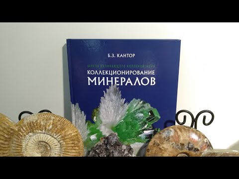 'Школа начинающего коллекционера.