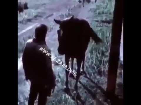 أنت بتبصلي كده ليه مش عاجبك يعني ههه طب خد دي