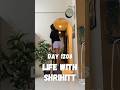 LWS day 1208/10000 #shrihitt #minivlog #vlog