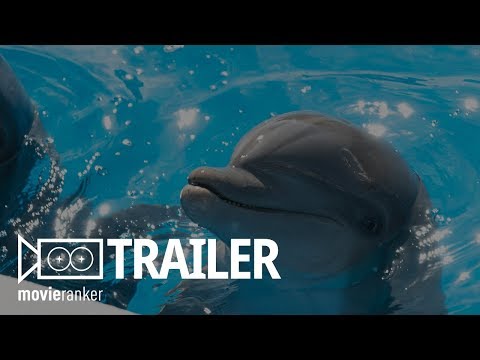 Bernie the Dolphin - Official Movie Trailer Starring Kevin Sorbo