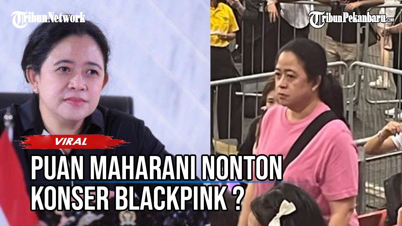 Viral Perempuan Mirip Puan Maharani Nonton Konser Blackpink di