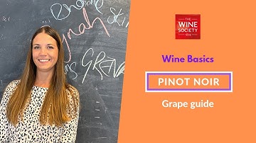 Wine Basics: Pinot Noir: Grape Variety Masterclass
