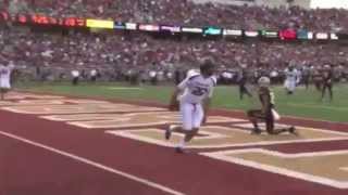 Jace Amaro Sophomore College Highlights