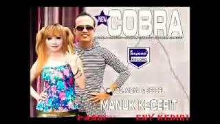 New Cobra - Manok kecepit