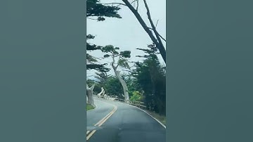 Thumbnail of Scenic 17 mile drive!