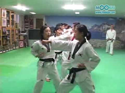 - - NAMCHANG DOJANG -HANBON KYORUKI TECHNIQUES (I)