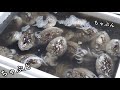 大量の魚介を買ってしまいました。そうだ!【アレ】を作ろう!!
