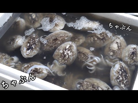 大量の魚介を買ってしまいました。そうだ！【アレ】を作ろう！！