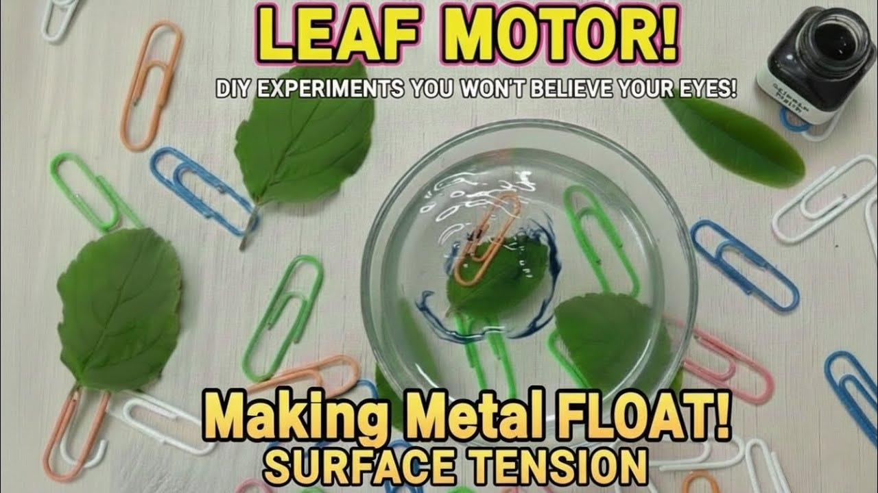 Surface Tension 🍃🤯Tech : How to build a jet-powered leaf boat! 🚤💧DIY amazing new idea!! Leaf 🍀
