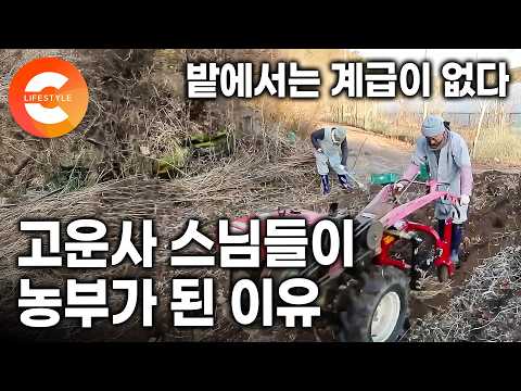 여기서는 직책도 계급장도 없다. 봄이 오면 농사 장비 챙겨 밭으로 향하는 고운사 스님들의 농부 생활 🧹 | 스님들의 새참 시간 | #한국기행