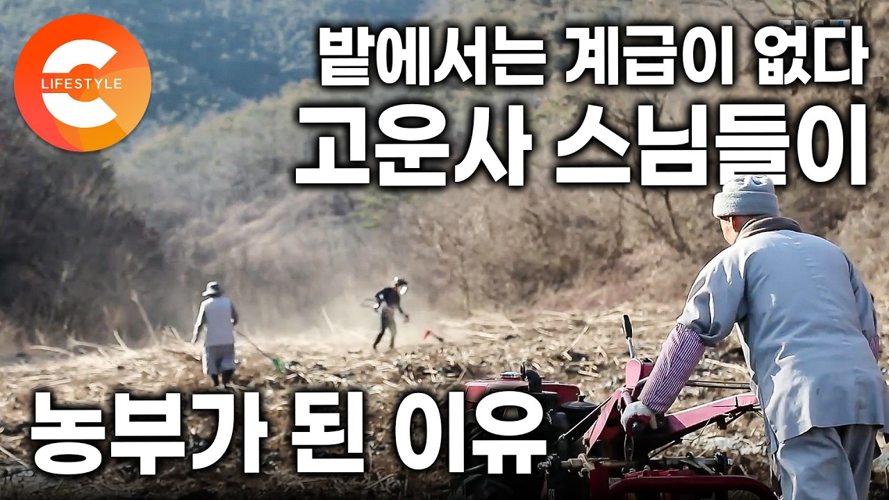 여기서는 직책도 계급장도 없다. 봄이 오면 농사 장비 챙겨 밭으로 향하는 고운사 스님들의 농부 생활 🧹 | 스님들의 새참 시간 | #한국기행