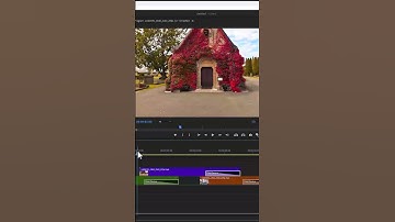 Easily Delete Every Transition in Premiere Pro  #adobe