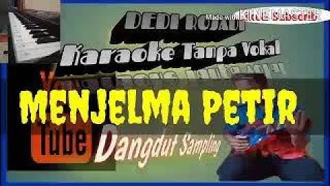 MENJELMA PETIR nada cewek/DEDI ROSADI KARAOKE TANPA VOKAL