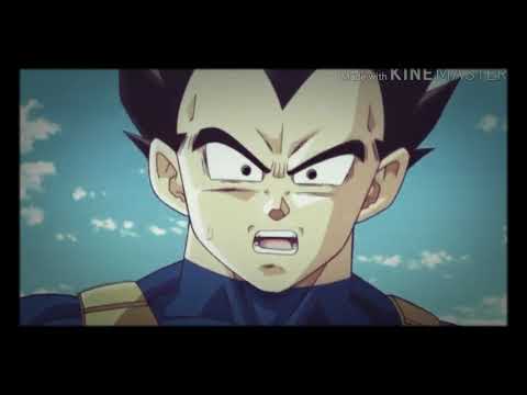ドラゴンボール神と神MAD