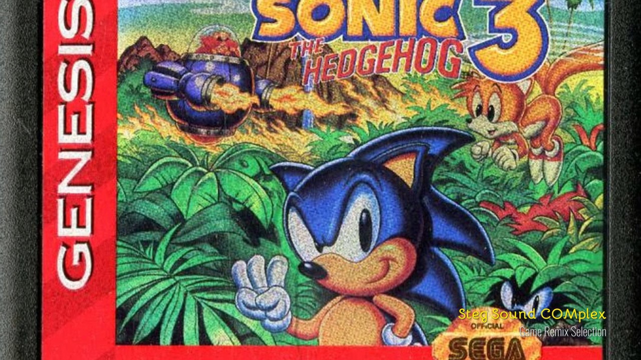 Игра соник сега 3. Sonic 3 Sega. Sonic 3 Sega картридж. Игра Sonic the Hedgehog 3. Sonic 3 Sega Mega Drive.