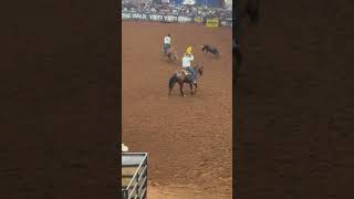 Got a little out of the BFI Jr 10.5 #Choppo #teamroping #rodeo