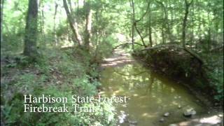 Richland RUNS: Harbison State Forest