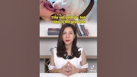 bệnh dại mối nguy hiểm tiềm ẩn trong các con vật