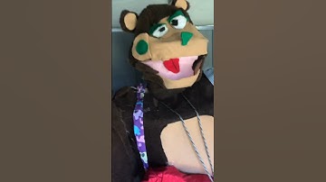 Testing Barney the bear @S.J.C._Entertainment