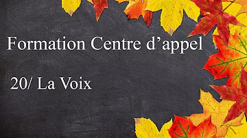 Comment ça se passe la formation dans un centre d'appel ?