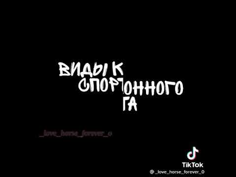 виды конного спорта