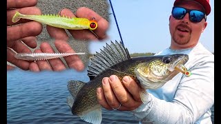 Plastic Minnows & Swimbaits for Walleyes – Underwater Tank Shot (Eye-Candy Baits) screenshot 5