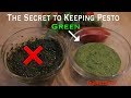 The Secret on How to Make Pesto that Stays Green