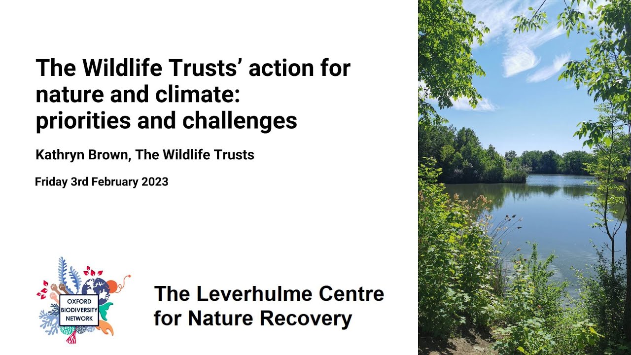 The Wildlife Trust's action for nature and climate: priorities and challenges - Kathryn Brown