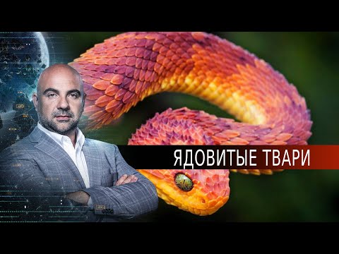 Ядовитые твари.  «Как устроен мир" с Тимофеем Баженовым (21.09.20).